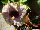 P1130889
