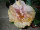 P1130897