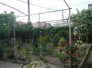 P1130934