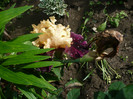 P1130938