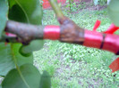 DSCN2844
