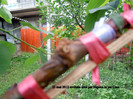 DSCN2842