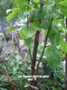 DSCN2849