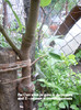DSCN2850