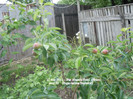DSCN2851