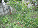 DSCN2852