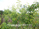 DSCN2855