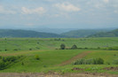 DSC_0460