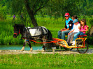 poza 085
