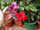 Picture 082