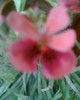 Imag052