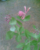 Imag040