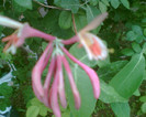 Imag045