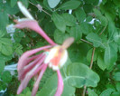 Imag046