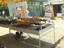 DSCN4307