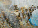 DSCN4322