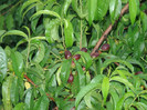 noutati 008