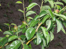 noutati 011