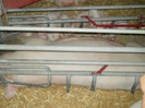 DSCN4367
