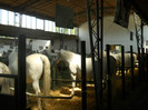 DSCN4405