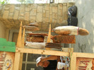 DSCN4439