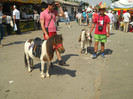 DSCN4461