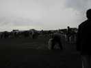 SAM_0422