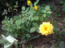 IMGP1850
