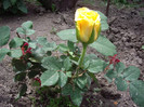 IMGP1869