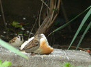 DSCN5562