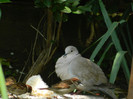 DSCN5574