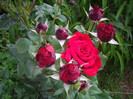 IMGP2160