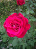 IMGP2167