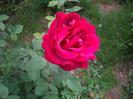 IMGP2170