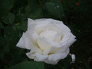 IMGP2173