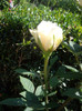 IMGP2342