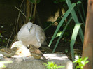 DSCN5579