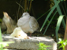 DSCN5580