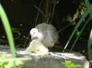 DSCN5581