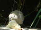 DSCN5583