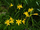 DSCN5598