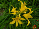 DSCN5621