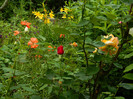 DSCN5677