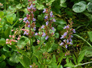 DSCN5688