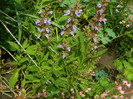 DSCN5689