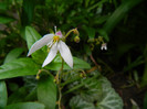 DSCN5729