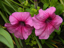 DSCN5708
