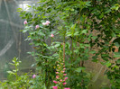DSCN5712