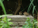 DSCN5714