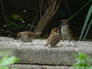 DSCN5722